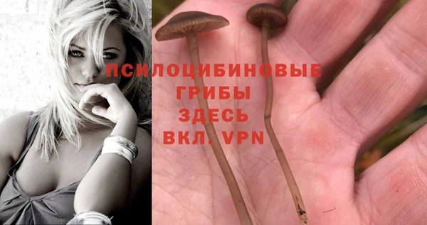 хмурый Алзамай