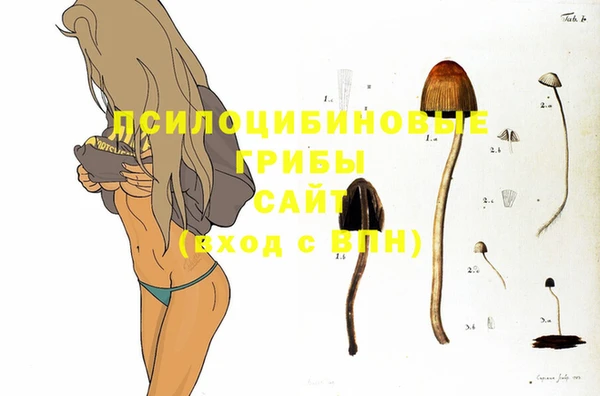 первитин Абинск