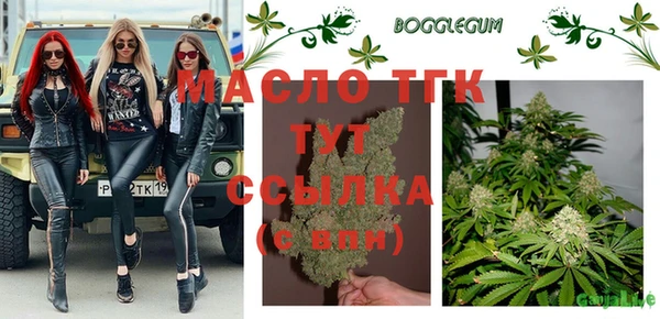 хмурый Алзамай