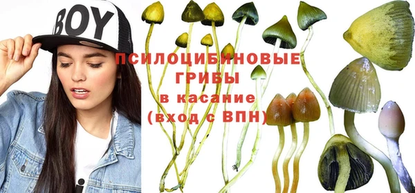 хмурый Алзамай
